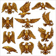 Golden eagle, hawk, falcon, healdic birds of prey