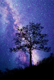 Fototapeta Na drzwi - Tree standing silhouetted against the Milky Way
