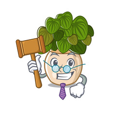 Wall Mural - Judge peperomia with in the cartoon shape