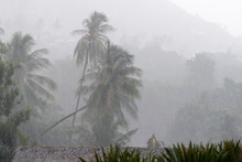 Heavy Tropical Rain On The Coast Of Koh Samui, Thailand