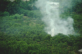 Fototapeta  - smoky from villagers Burning waste and tree in the provinces , thailand