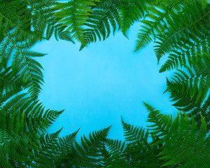 Wall Mural - Frame made of green fern leafs, palm frond on blue background. Abstract tropical leaf background, trendy creative design. Flat lay, top view, copy space