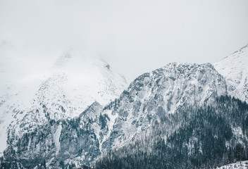  Misty winter day with heavy snow on peaks of Tatra mountains