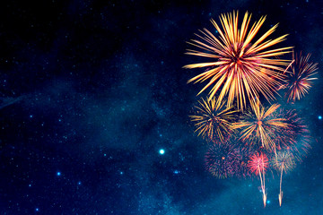 Wall Mural - fireworks in the night sky