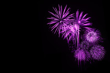 Purple Fireworks In Dark Background 