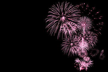 Wall Mural - pink fireworks in dark background
