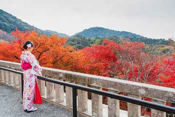 Asian woman wearing beautiful kimono walking and travel in the Japanese garden inside the temple with red maple leaves In the autumn and fall season background.