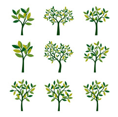 Wall Mural - Set of green Trees. Vector Illustration.