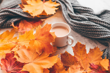 Fotomurales - Autumn home cozy composition a cup of coffee with maple leaves.Selective soft focus