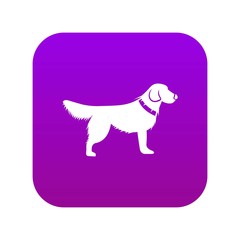 Canvas Print - Dog icon digital purple for any design isolated on white vector illustration