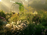 Horizontal image of a country garden in fall (autumn) with flowers, ornamental grasses, an arbor (arch), and fence lit by sunbeams from sunrise