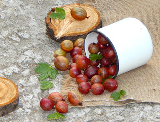 Wall Mural - Ripe red gooseberries and leaves lie in a white metal mug on the background of burlap.