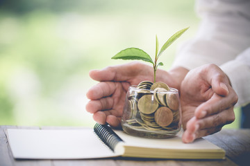 Second hand protect Tree on a pile of coins. business, saving, growth, economic concept. Business planning.Investment concept Starting a business And financial business.With text input area.