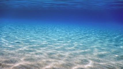 Wall Mural - Underwater Blue Ocean, Sandy sea bottom Underwater background