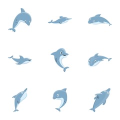 Wall Mural - Dolphin mammal icon set. Cartoon set of 9 dolphin mammal vector icons for web design isolated on white background