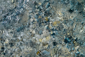 Wall Mural - Background water, surface of sea on rocks, close up. Reflection of sun beams in water and shallow soil, shoal of ocean. Top view of coral reef. Coral reef in sea texture, pattern and wallpaper.