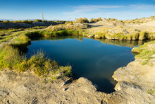 Trego Hot Springs In The Black Rock Desert With Shallow Depth Of Field.