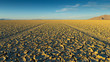 Black Rock Playa Cracked Mud at Golden Hour with Tire Tracks Leading into Distance.