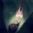A snail on a leaf under a luminous flower on a dark background.