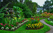 Colorful Annapolis Royal Formal Garden Beds With Building