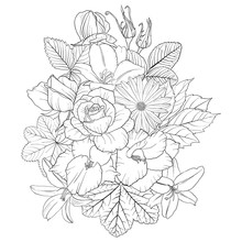 Vector Drawing Flowers