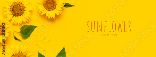Cuadros en Lienzo Beautiful fresh sunflowers on bright yellow background