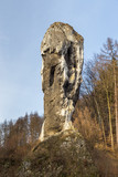 Fototapeta  - Maczuga Herkulesa, tall limestone stack, Suloszowa, Poland.