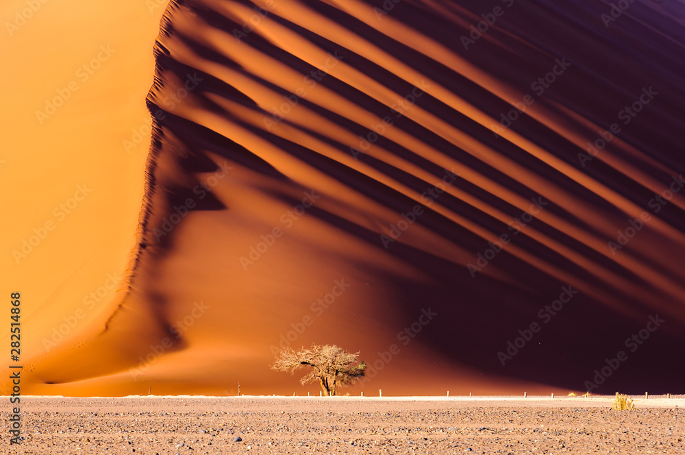 Dune 45, a massive red sand dune in the Namib Desert, Sossusvlei, Namibia - obrazy, fototapety, plakaty 