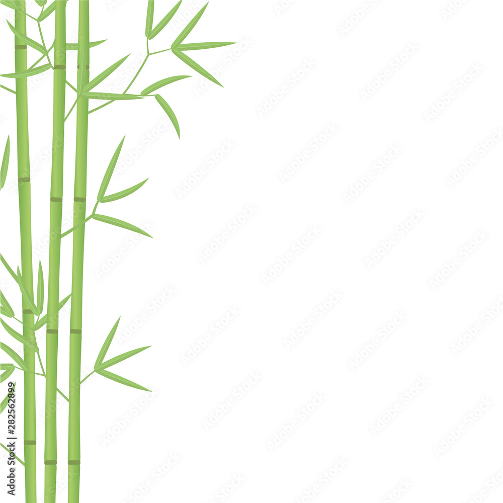 bento box bambus Bamboo Bento Box main image 0
