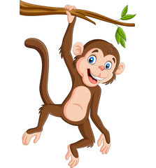 Canvas Print - Cartoon monkey hanging in tree branch