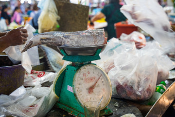 A piece of fish on measuring scale during market day, Chumphon Thailand