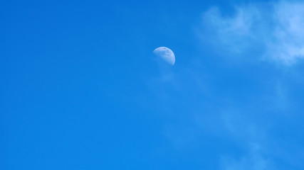 Wall Mural - moon on a blue sky day