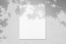 Empty White Vertical Rectangle Poster Mockup With Soft Hawthorn Leaves Shadows On Neutral Light Grey Concrete Wall Background. Flat Lay, Top View