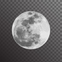 realistic vector illustration of gray full moon