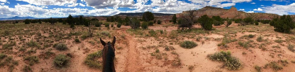 Beautiful, rugged, panoramic desert landscape POV on horseback