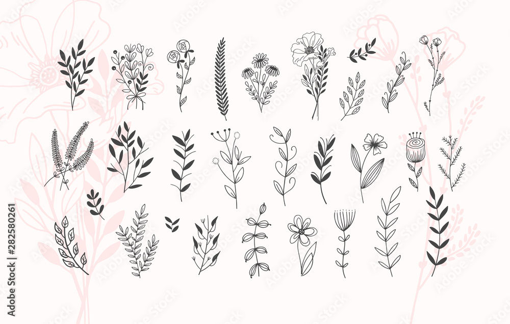 minimalistic flower graphic sketch drawing, trendy tiny tattoo design, floral botanic element - obrazy, fototapety, plakaty 