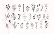 Minimalistic Flower Graphic Sketch Drawing, Trendy Tiny Tattoo Design, Floral Botanic Element