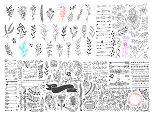 Wall Mural - mega set of hand drawing page dividers borders and arrow, doodle floral design element