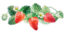 Watercolor Red Juicy Strawberry With Leaves. Food Background, Painted Bright Composition. Hand Drawn Food Illustration. Fruit Print. Summer Sweet Fruits And Berries.