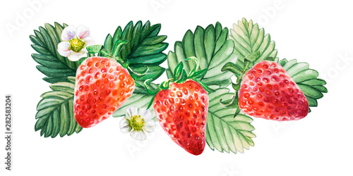 Watercolor red juicy strawberry with leaves. Food background, painted bright ...