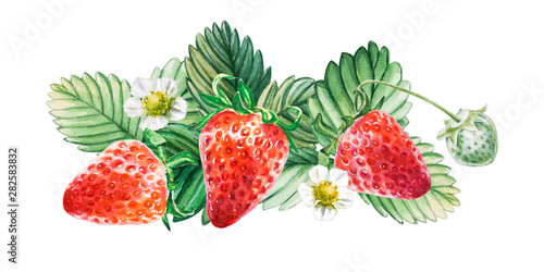 Watercolor red juicy strawberry with leaves. Food background, painted bright ...