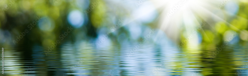 blurred image of natural background from water and plants - obrazy, fototapety, plakaty 
