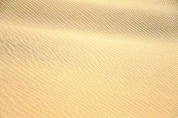 Wall Mural - Wavy texture of sand 