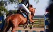 Horse photographed in jumping tournament over the obstacle in jump..