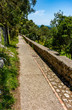 taly, Capri, detail of path leading to Villa Jovis