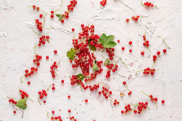 Poster - flat lay of red currant  branch with green leaves.