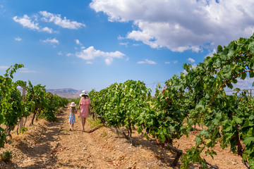 Wall Mural - Girl in the vineyards