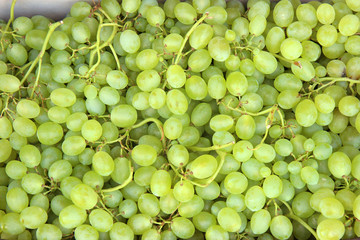 bunch of grapes on vine