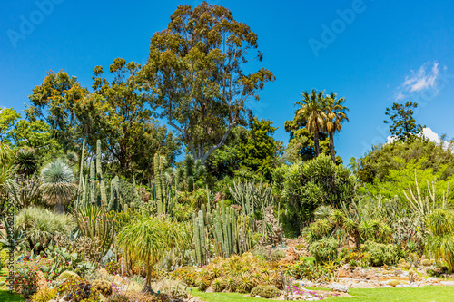 Italy Naples Botanical Garden Floral Landscape With Flowers And Succulents Buy This Stock Photo And Explore Similar Images At Adobe Stock Adobe Stock