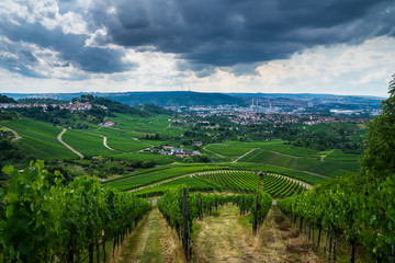 Germany, Green vineyards above stuttgart city in basin in summertime with dramatic sky of coming thundery front